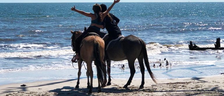 HORSEBACK RIDING ON THE BEACH DAUFUSKIE ISLAND