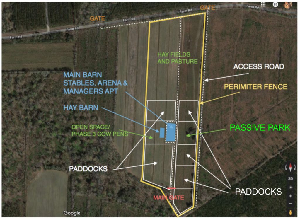 DUNCAN ACRES DAUFUSKIE MARSH TACKY SOCIETY SITE PLAN