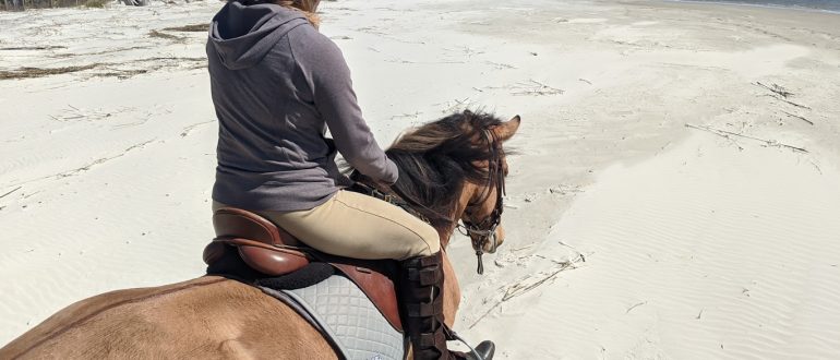 SHOP LOCAL RIDE A MARSH TACKY DAUFUSKIE ISLAND