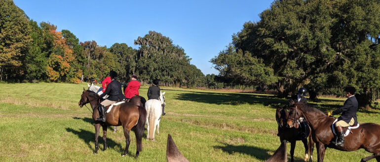 MARSH TACKY LOWCOUNTRY HUNT